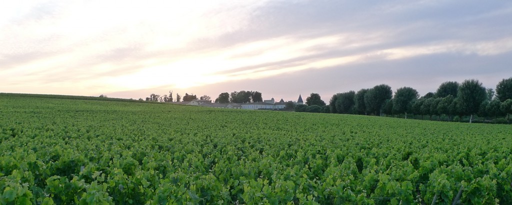 2010 波爾多葡萄收成之旅 Bordeaux Wine Harvest Tour